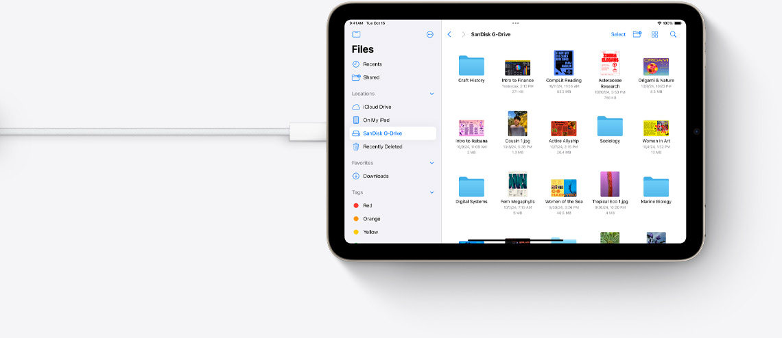 Dateien auf einem iPad mini im Querformat, das mit einem USB‑C Kabel verbunden ist.